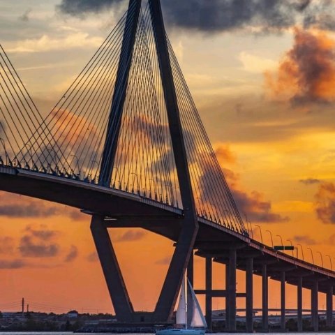 a close up of Arthur Ravenel Jr. Bridge over a body of water